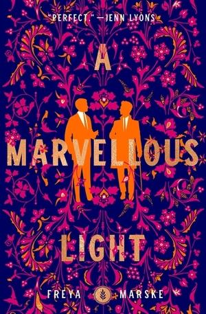 Cover for A Marvellous Light
