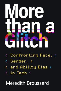 Book cover for More Than a Glitch
