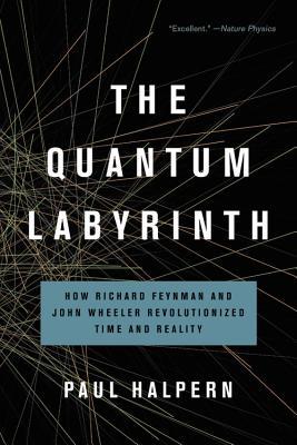 Book cover for The Quantum Labyrinth